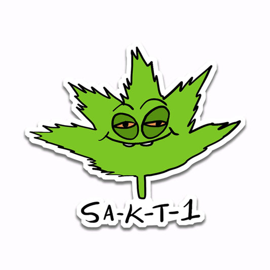 S-K-T-1 (Sticker)